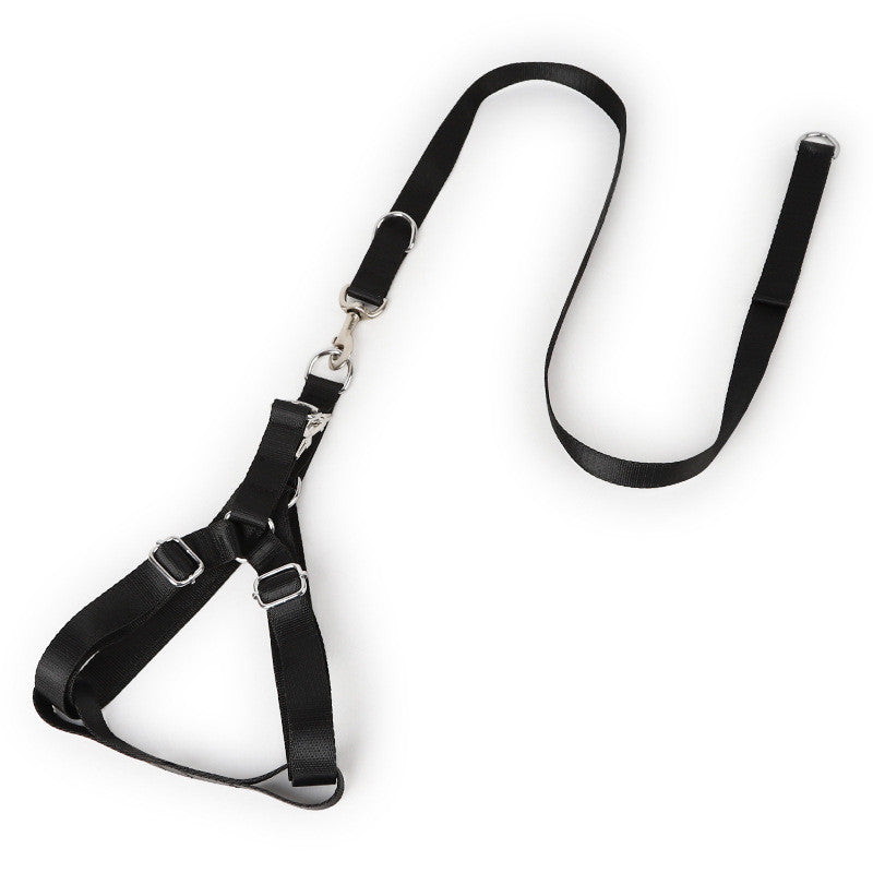 Golden Wool Edged Retractable Polyester Leash Large Dog Husky Shepherd