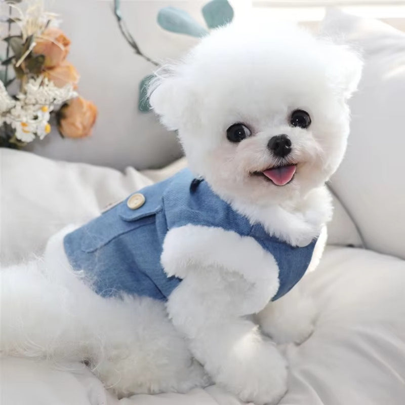 Winter Denim Dog Vest Teddy Patch Wool Lined Cozy