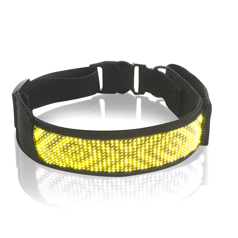 Smart LED Luminous Pet Collar App-Controlled Music Rhythm Rechargeable Safety