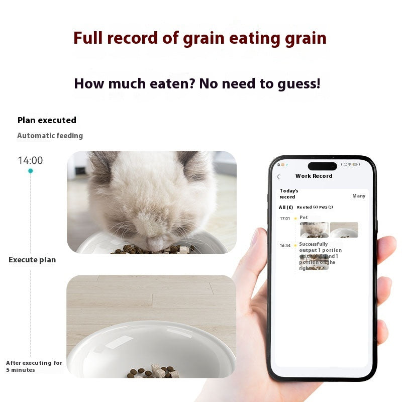 AI Smart Pet Feeder Water Fountain Station Camera Ceramic Bowls