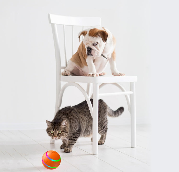 Intelligent Self Rotating Cat Ball Interactive Motion Toy